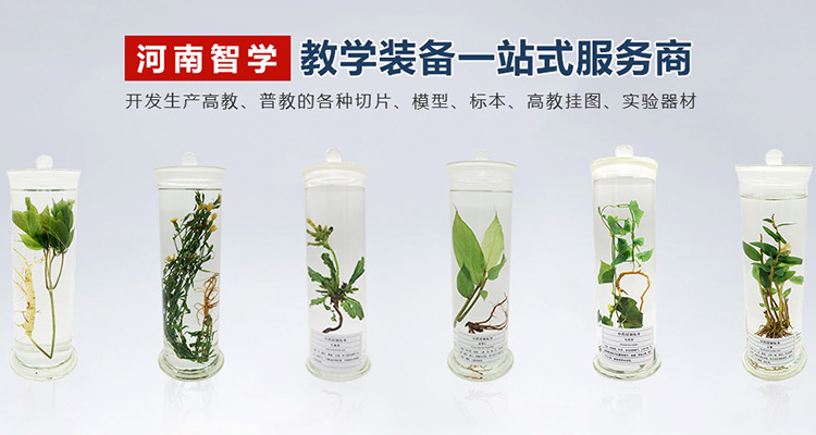 河南智學(xué)教育裝備有限公司